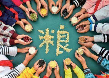 輸送帶廠家：第40個(gè)世界糧食日，食品安全很重要