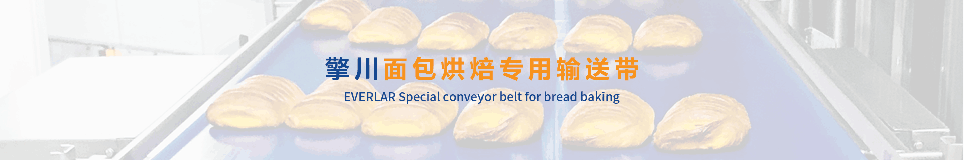 食品輸送帶廠(chǎng)家,食品輸送帶定制,食品輸送帶加工,擎川食品輸送帶